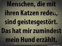 Hundelogik: Katzenfl�sterer im Visier!