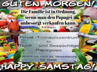 Papageien im Therapiezentrum