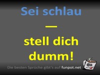 Strategie der Weisheit: Tarnmodus aktiviert!