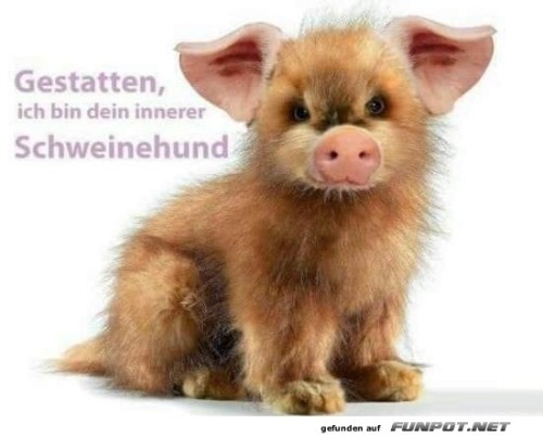 Der-innere-Schweinehund.jpg auf www.funpot.net