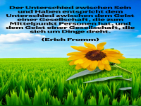 der unterschied zwischen Sein