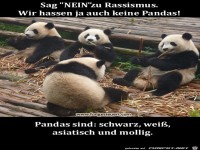 sag nein zu rassismus wir hassen ja auch keine pandas win-b