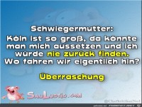 Meine Schwiegermutter