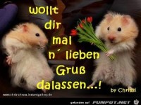 wollt dir mal nen gruss dalassen