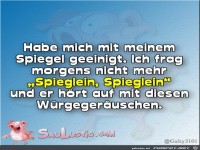 Habe-mich-geeinigt-mit-dem-Spiegel