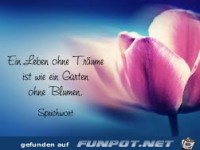 Leben ohne Tr�ume