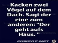 der geht aufs Haus