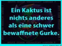 Kaktus