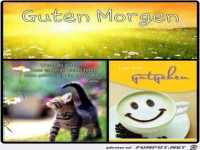 Guten Morgen