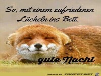 Gute Nacht
