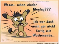 Waaas schon wieder Montag