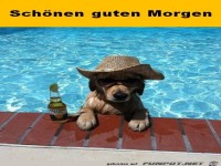 Guten Morgen