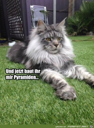 Jetzt-baut-ihr-mir-Pyramiden.jpg auf www.funpot.net