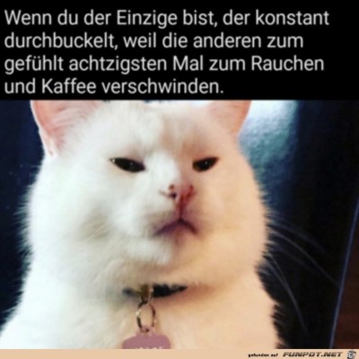 Der-Einzige,-der-arbeitet.jpg von Finn