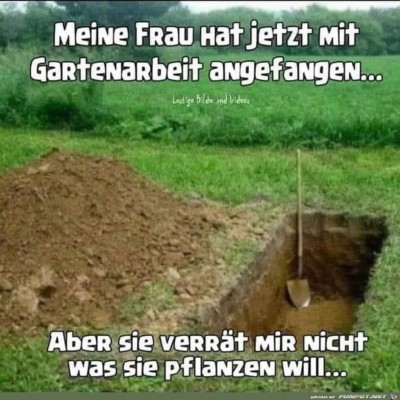 Garten.jpg von Tillmann
