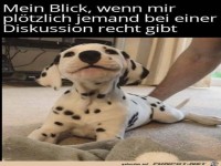 Dieser Blick