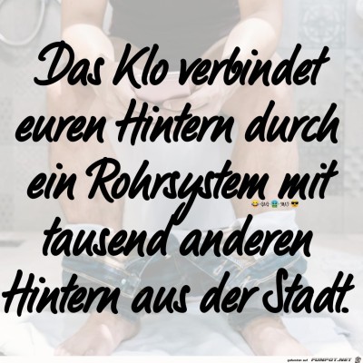 Das-Klo.jpg von Bonobo666