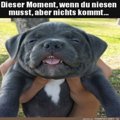 Niesen-im-Anmarsch.jpg von Sweetheart