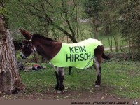 Muss man wohl extra erw�hnen