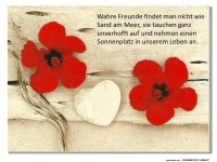 Wahre Freunde findet man nicht