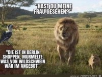 Hast du meine Frau gesehen?