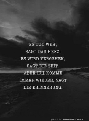 Leider-wahr.jpg auf www.funpot.net