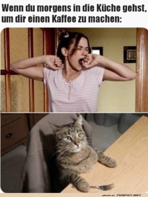 Da-wartet-schon-jemand.jpg auf www.funpot.net