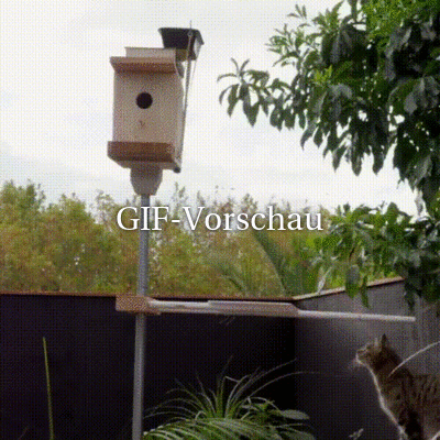 Interessantes-Vogelhäuschen.gif von Karla25