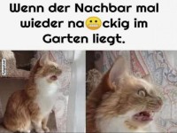 Wenn der Nachbar nackt im Garten liegt
