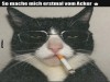 weiter