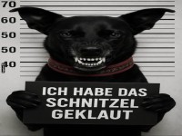 Schnitzel-Dieb auf vier Pfoten erwischt!