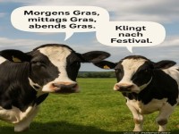 Kuh-lturelle Festivalsaison!