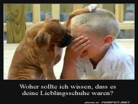 Sei nicht traurig