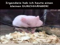 Wenn das Rad nicht mehr rund l�uft!
