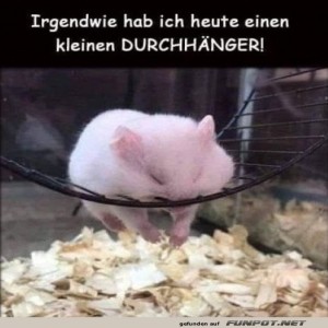 fun-Bild: Wenn das Rad nicht mehr rund l&auml;uft!