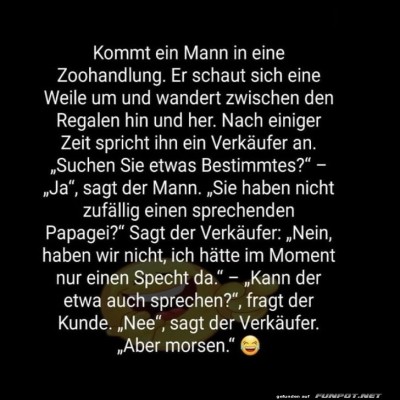 Specht-des-Tages:-Der-geheime-Morsemeister.jpg von Nele68