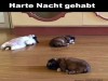 weiter