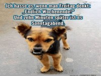 Das Wochenende rennt!