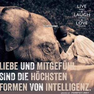 Intelligenz.jpg von Michelle