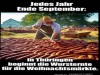 weiter