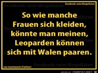 dieGeilsten Kleidung