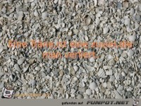 Eine Traene ist eine zuviel die man verliert 