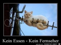 kein Essen- kein Fernseher.....