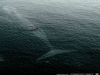 Wonderful Planet Earth