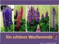 Ein schoenes Wochenende 4