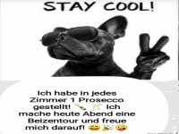 Stay cool