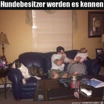 Giftgas-Angriff-des-Hundes.jpg von Matteo