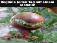 Ein Lächeln