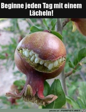 Ein-Lcheln.jpg auf www.funpot.net