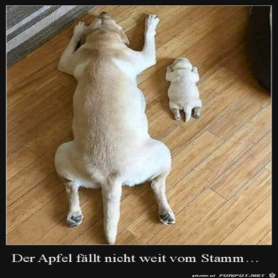 Vater-und-Sohn.jpg von Runa